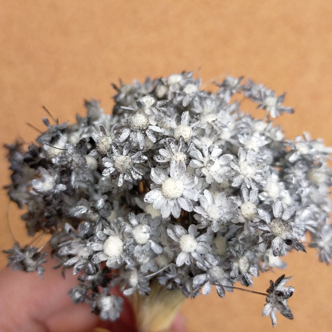 ハーバリウムボールペン　レジン アクセサリー 花材セット 気まぐれ素材　マーブル