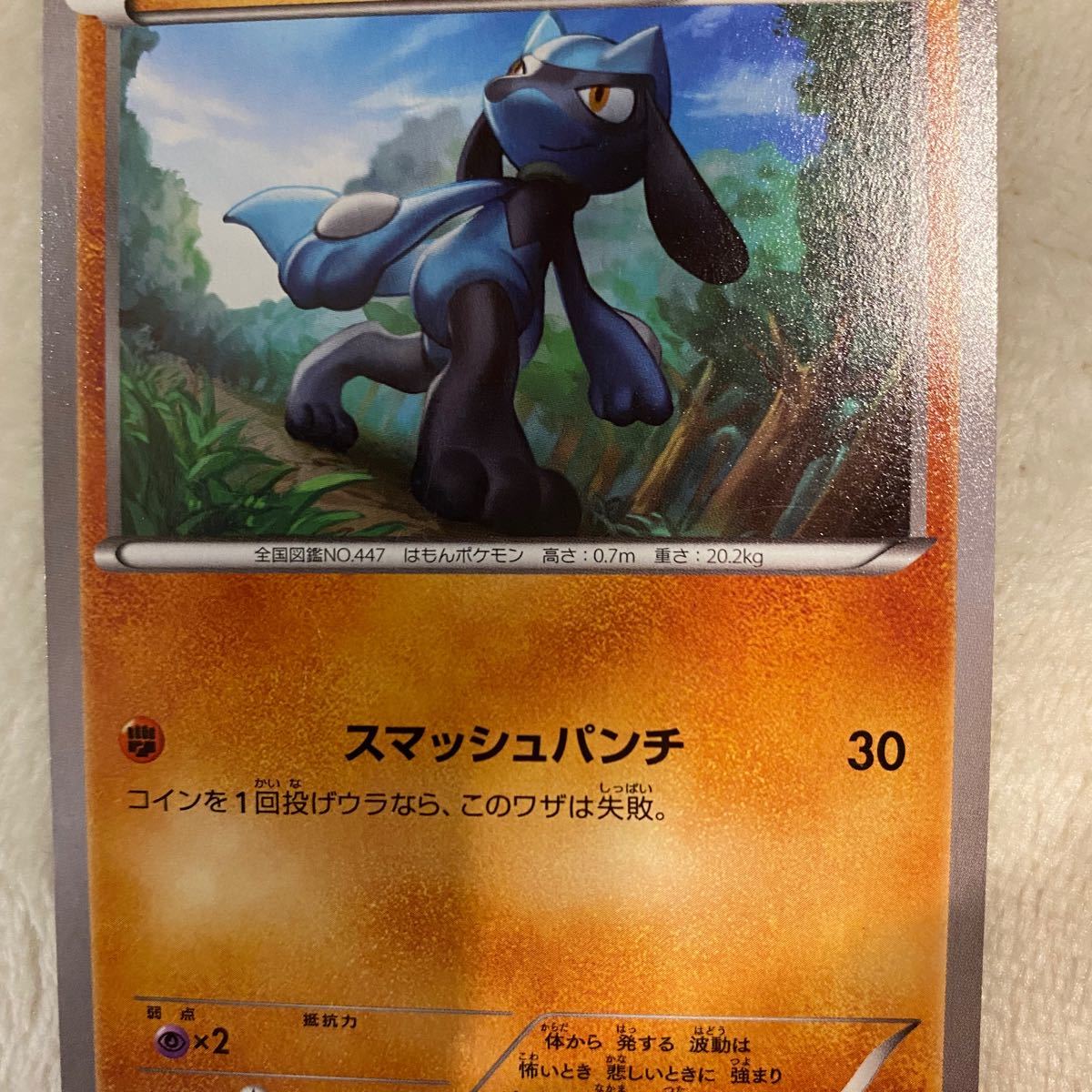初回生産限定盤 ポケモンカード リオル お食い初め送料無料 ゲーム おもちゃ トレーディングカード Joycapas Com Br 初回生産限定盤 ポケモンカード リオル お食い初め送料無料 ゲーム おもちゃ トレーディングカード Joycapas Com Br