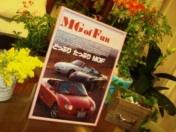* Fiat * coupe /MGF/NA Roadster * that time thing * valuable chronicle ./ frame goods *A4 amount *No.0269* inspection : catalog poster manner * used old car * custom *