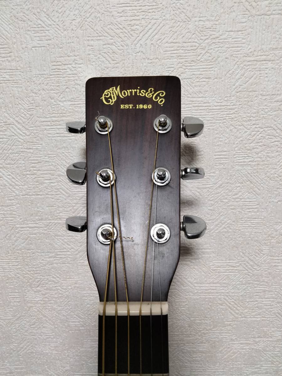 Morris TF-60D (Martin D-28 モデル) pta-palangkaraya.go.id