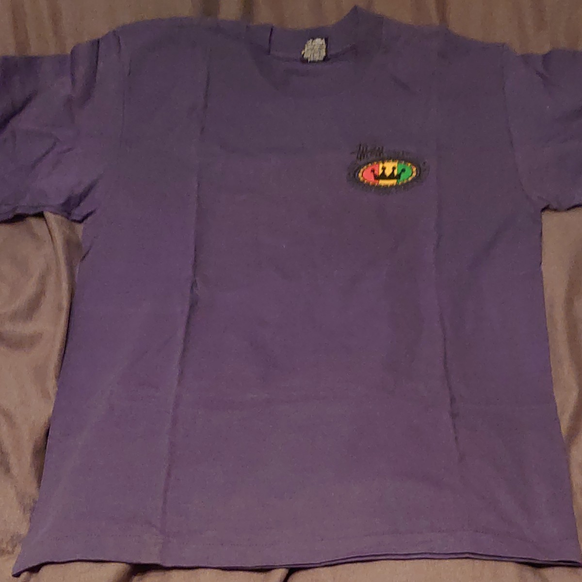 oldステューシー 80S ラスタ Tシャツ | smsgolubovci.me