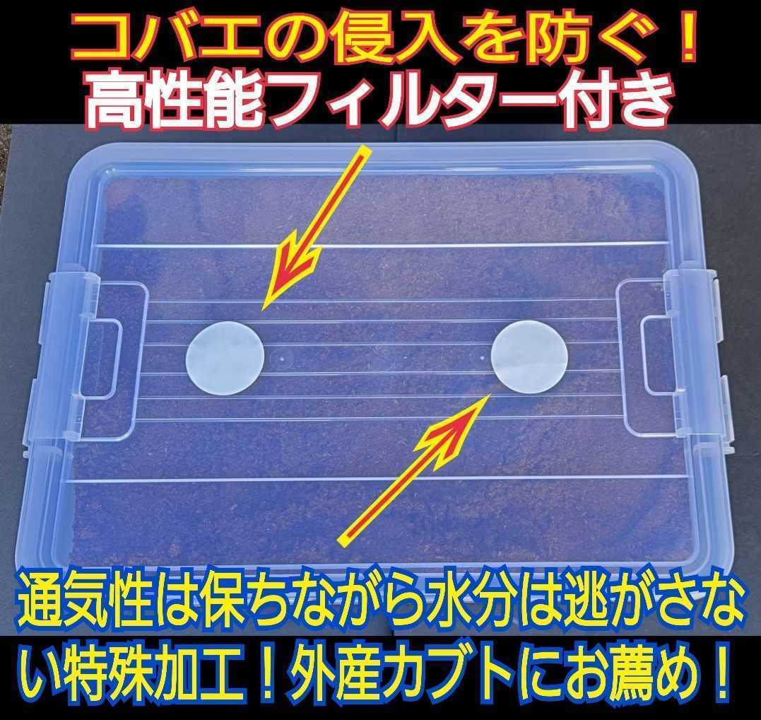 カブトムシ幼虫飼育セット☆大型ケース+特選プレミアム発酵マット20L入り☆外産・国産OK！デカクなります！コバエ防止の特殊フィルター付き_画像5