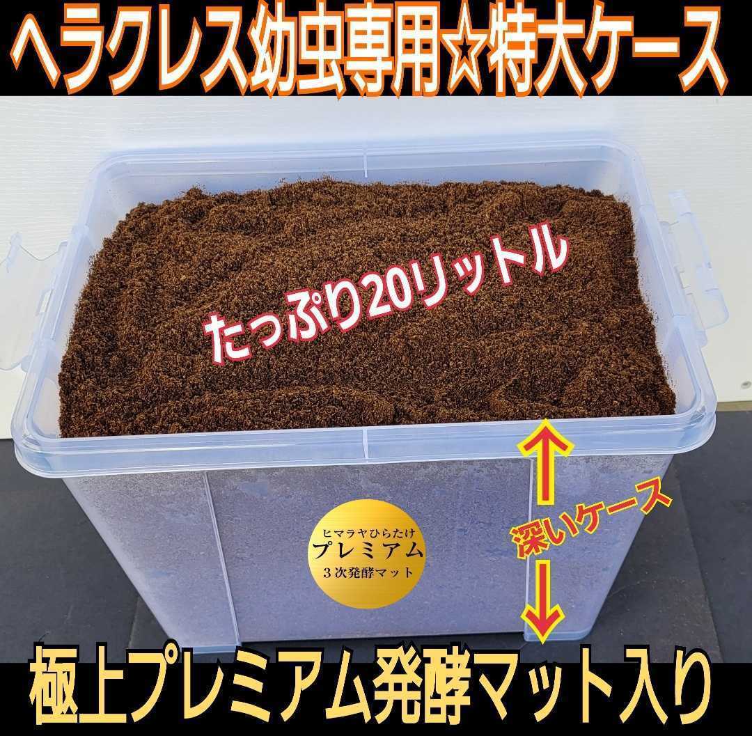 カブトムシ幼虫飼育セット☆大型ケース+特選プレミアム発酵マット20L入り☆外産・国産OK！デカクなります！コバエ防止の特殊フィルター付き_画像1