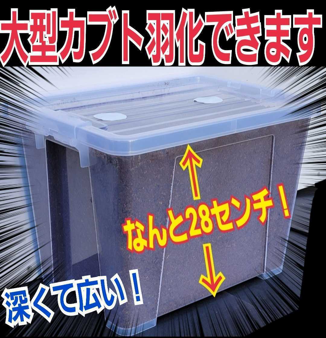 カブトムシ幼虫飼育セット☆大型ケース+特選プレミアム発酵マット20L入り☆外産・国産OK！デカクなります！コバエ防止の特殊フィルター付き_画像7