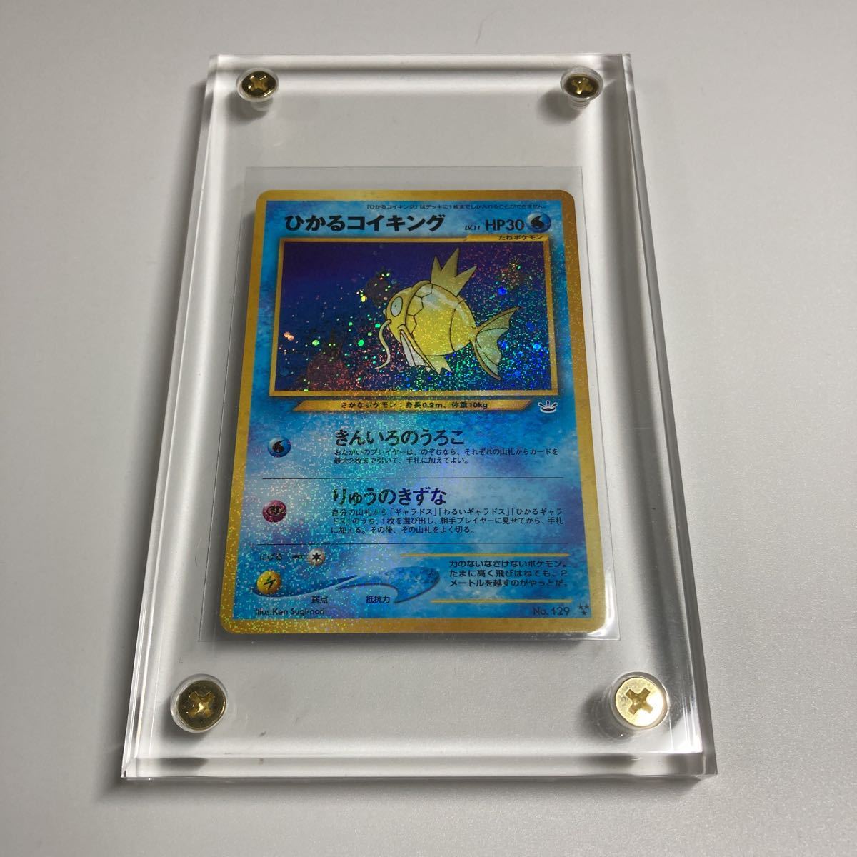 ポケモンカード 旧裏面 ひかるコイキング ファンクラブ限定 プロモ
