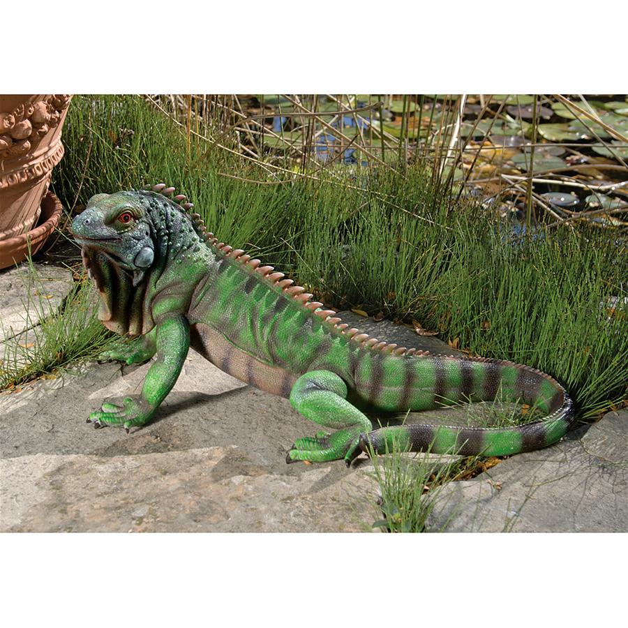  large type iguana exterior ornament objet d'art garden for outdoor figure garden decoration outdoors accent small articles ornament garden sculpture miscellaneous goods reptiles lizard 