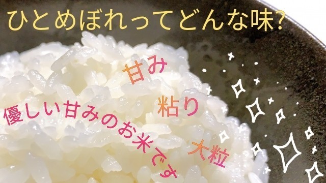 棚田の幻の 大粒米 新米 酵素米 お米 玄米 5キロ 無洗米 に精米 希少 年末のプロモーション特価！