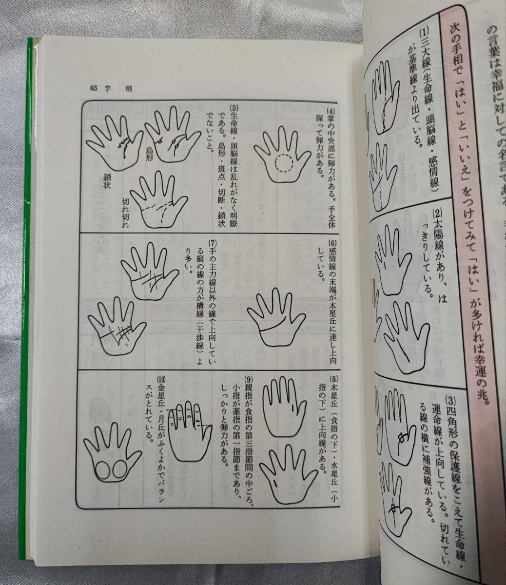 上向線