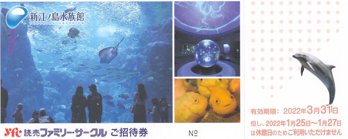 大黒屋 新江ノ島水族館 最大75%OFFクーポン ご招待券 １枚 ９枚まで 有効期限：2022年3月31日まで