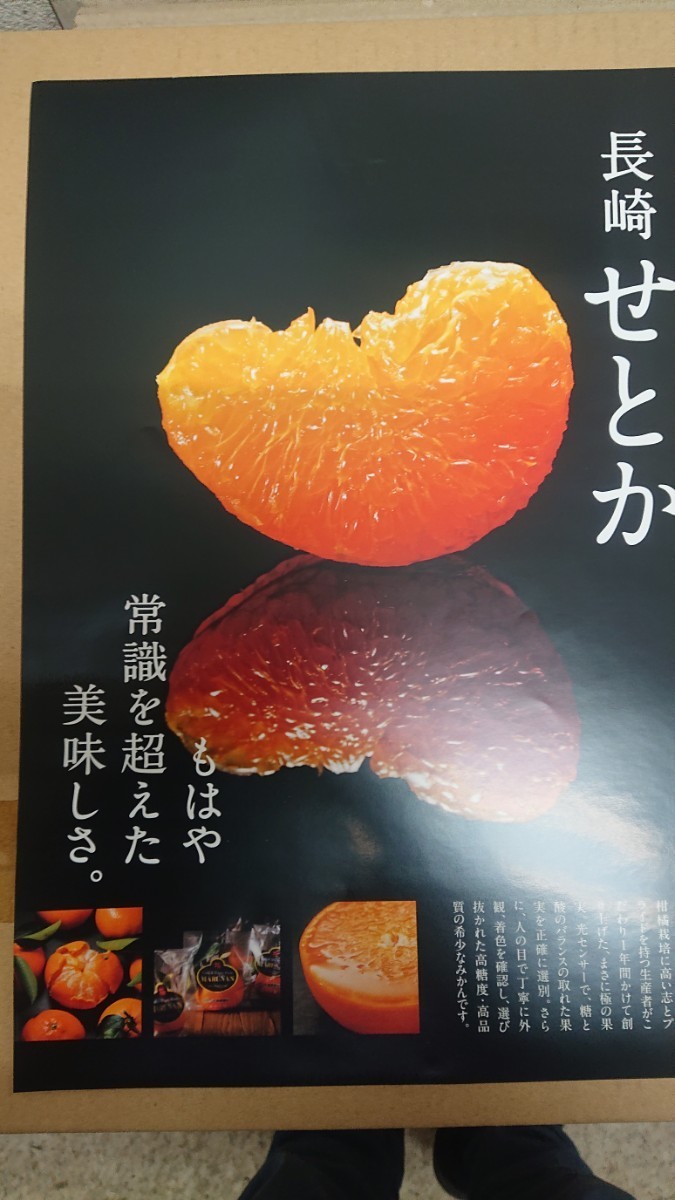 長崎マルナン「温室せとか」約6キロ(3キロ×2) 長崎マルナン「温室せとか」約6キロ(3キロ×2)