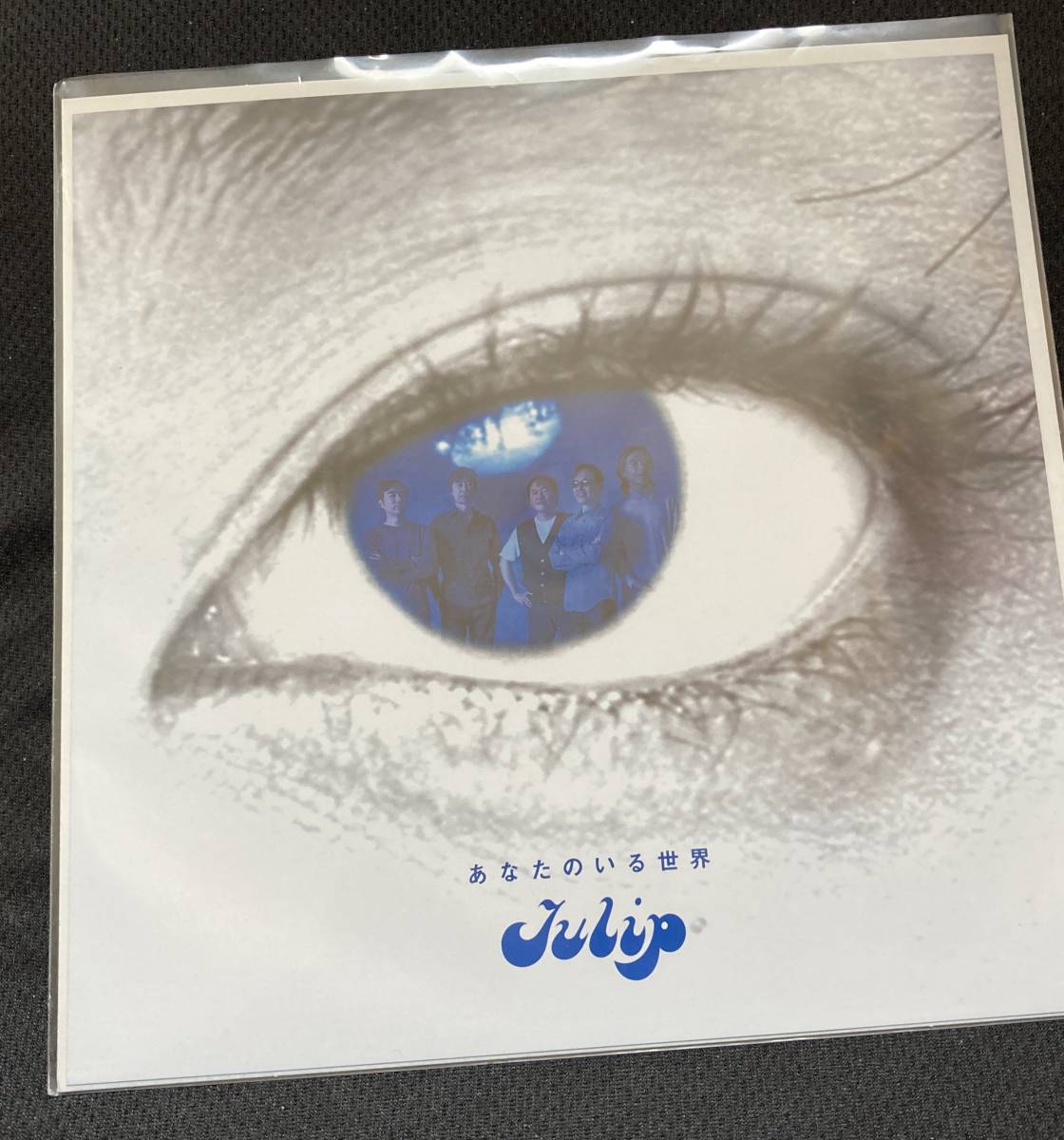 超激レア廃盤CD-BOX!! チューリップ「これこそが「The Complete 超激レア廃盤CD-BOX!! チューリップ「これこそが「The Complete