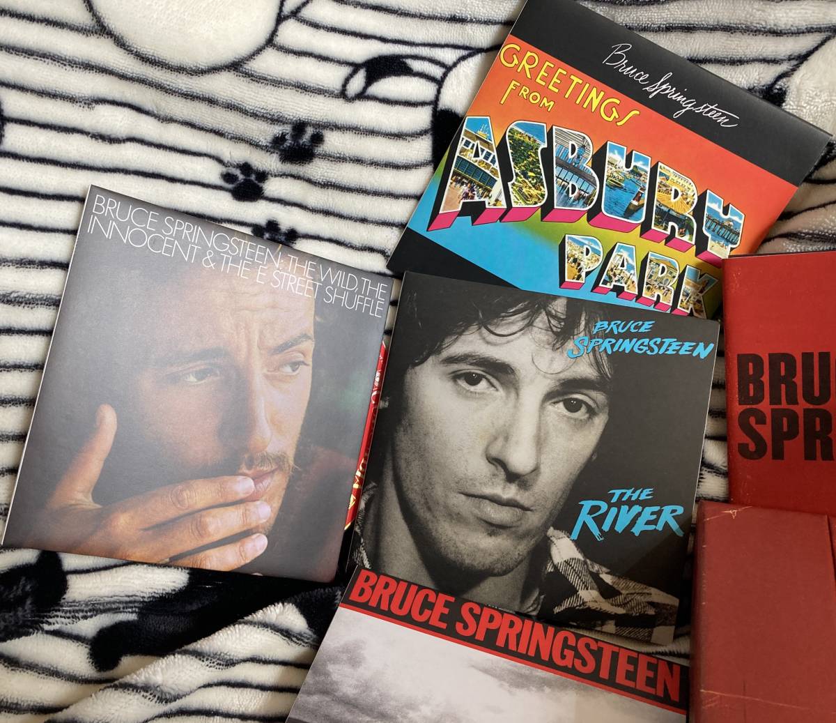 超激レアEU盤紙ジャケット仕様7CD-BOX!!BRUCE SPRINGSTEEN ブルース・スプリングスティーン「THE COLLECTION 1973-1984」初期の名作ばかり!_画像6