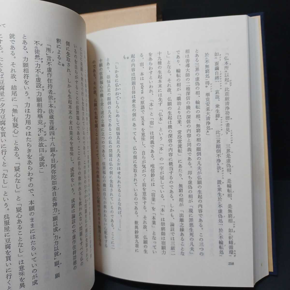大無量寿経序説 」稲城選恵 浄土真宗 親鸞聖人 本願寺 大無量寿経序説 」稲城選恵 浄土真宗 親鸞聖人 本願寺