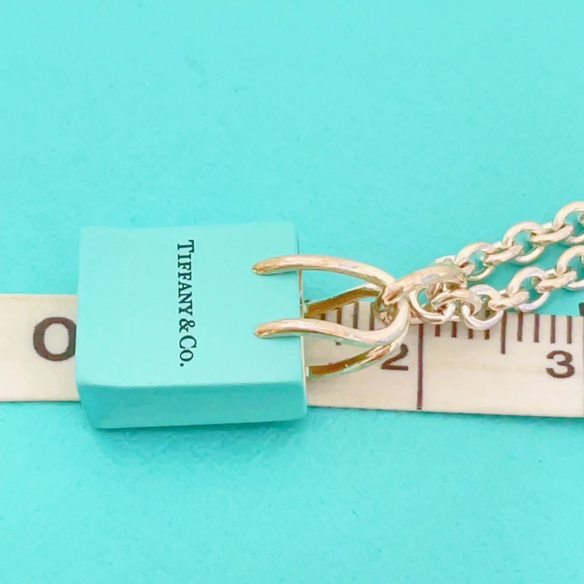 TIFFANY&Co ティファニーショッピングバックチャームネックレス TIFFANY&Co ティファニーショッピングバックチャームネックレス