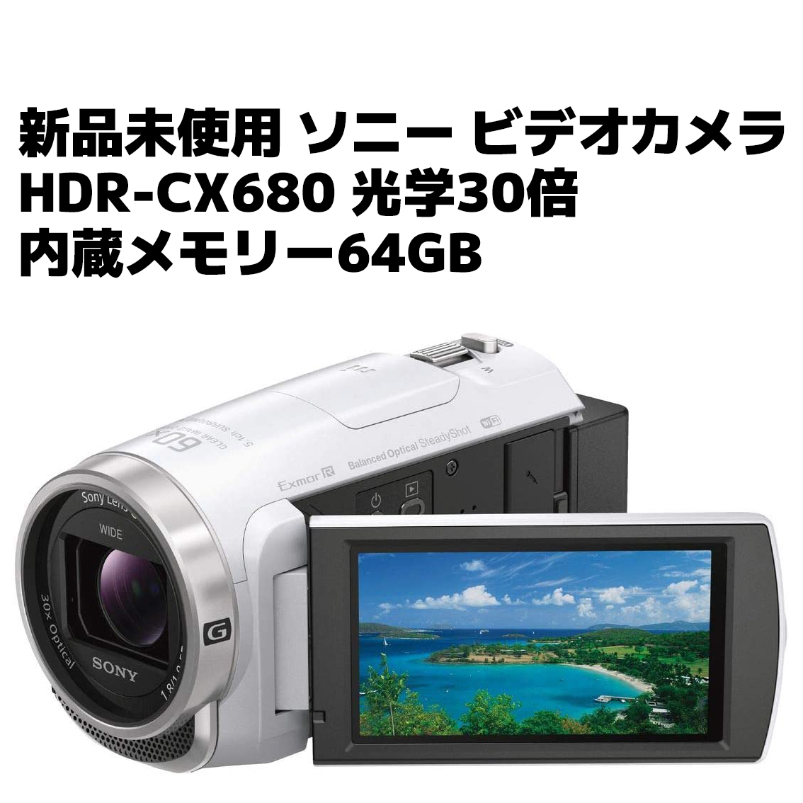 SONY ソニー ビデオカメラ Handycam HDR-CX680 光学30倍 内蔵メモリー 