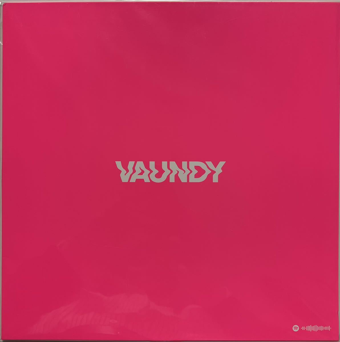 VAUNDY / strobo+ ○ 東京フラッシュ ○ 幸力 ○ 灯火 ○ 未使用