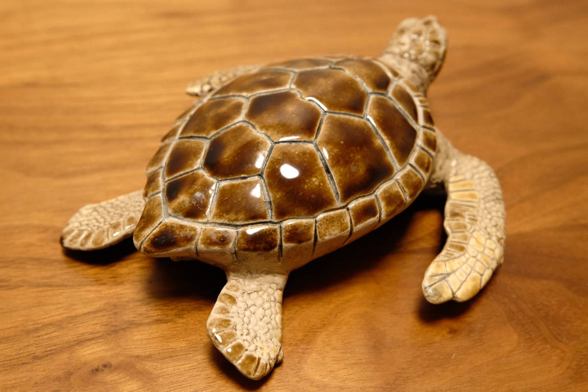 珍品 海亀 ウミガメ 繊細 剥製のようなリアルな陶器 珍品 海亀 ウミガメ 繊細 剥製のようなリアルな陶器