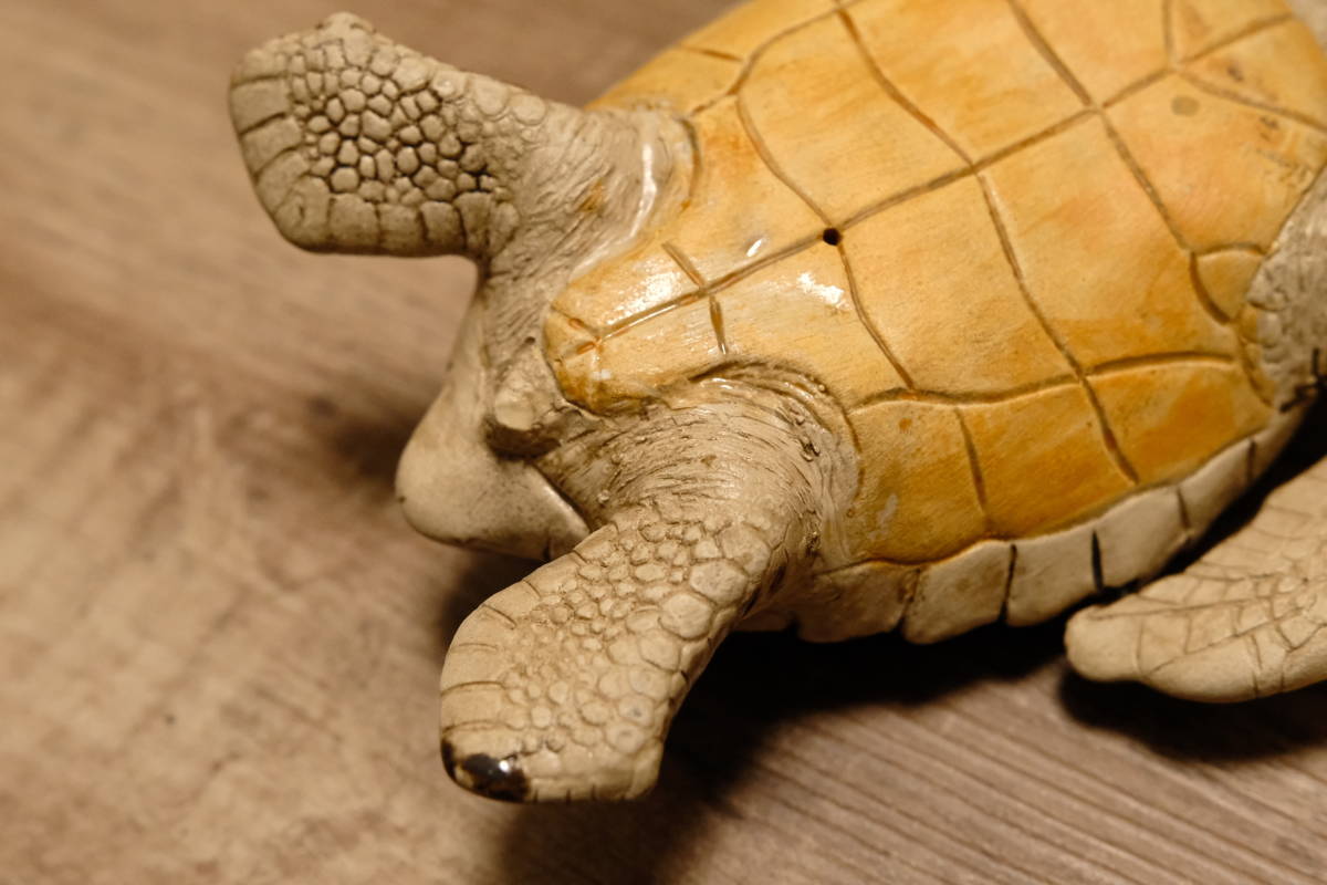 珍品 海亀 ウミガメ 繊細 剥製のようなリアルな陶器 珍品 海亀 ウミガメ 繊細 剥製のようなリアルな陶器