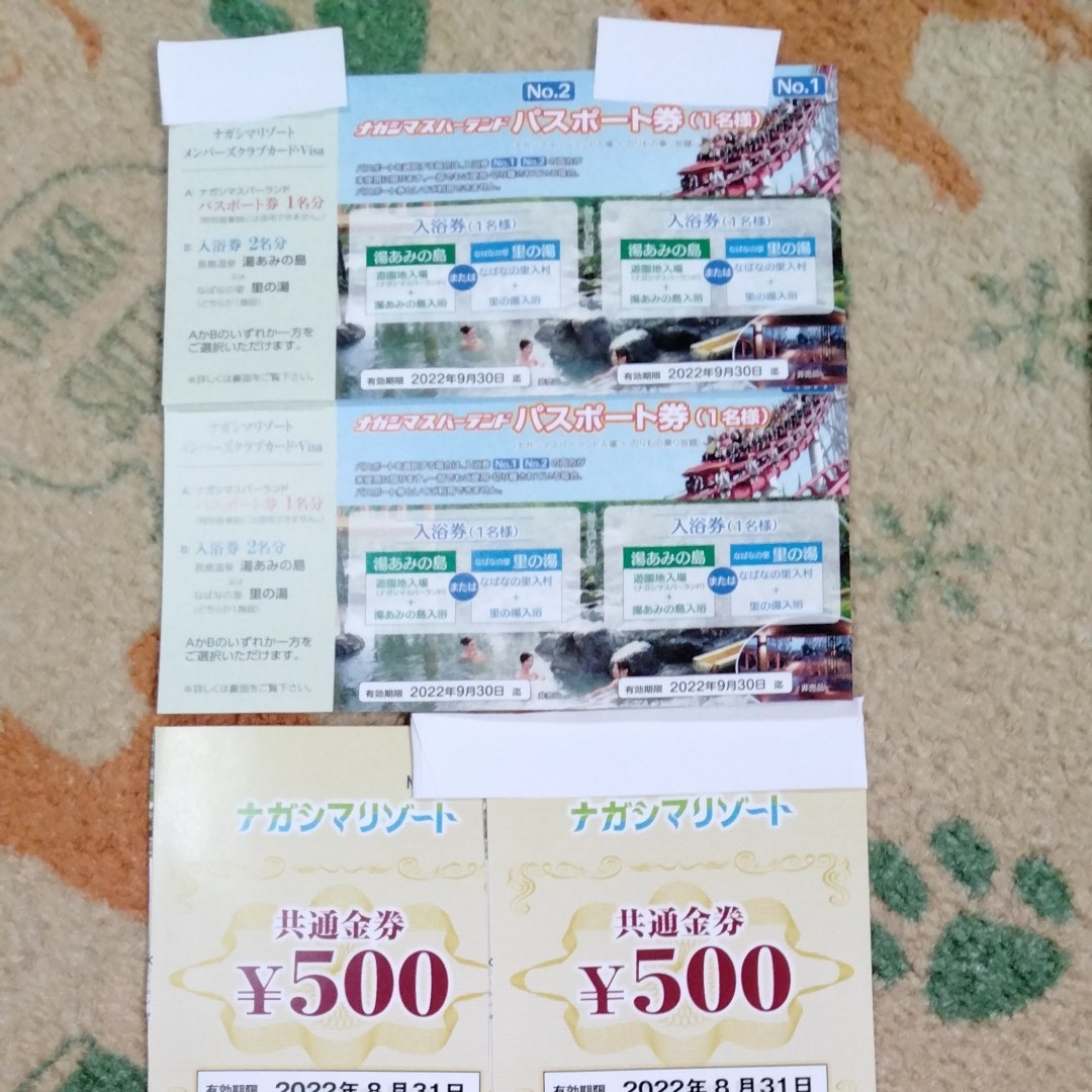 ナガシマスパーランド パスポート2枚 金券1000円分 cedmapp.fln.com.ua