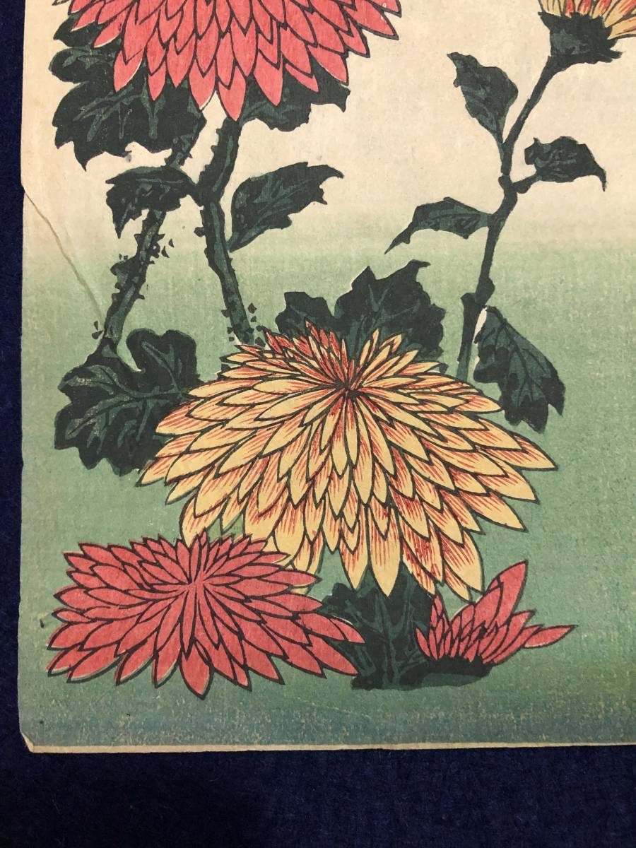 海外限定】 葛飾載斗 かつしかたいと 版画 額縁 - hilwawater.sa