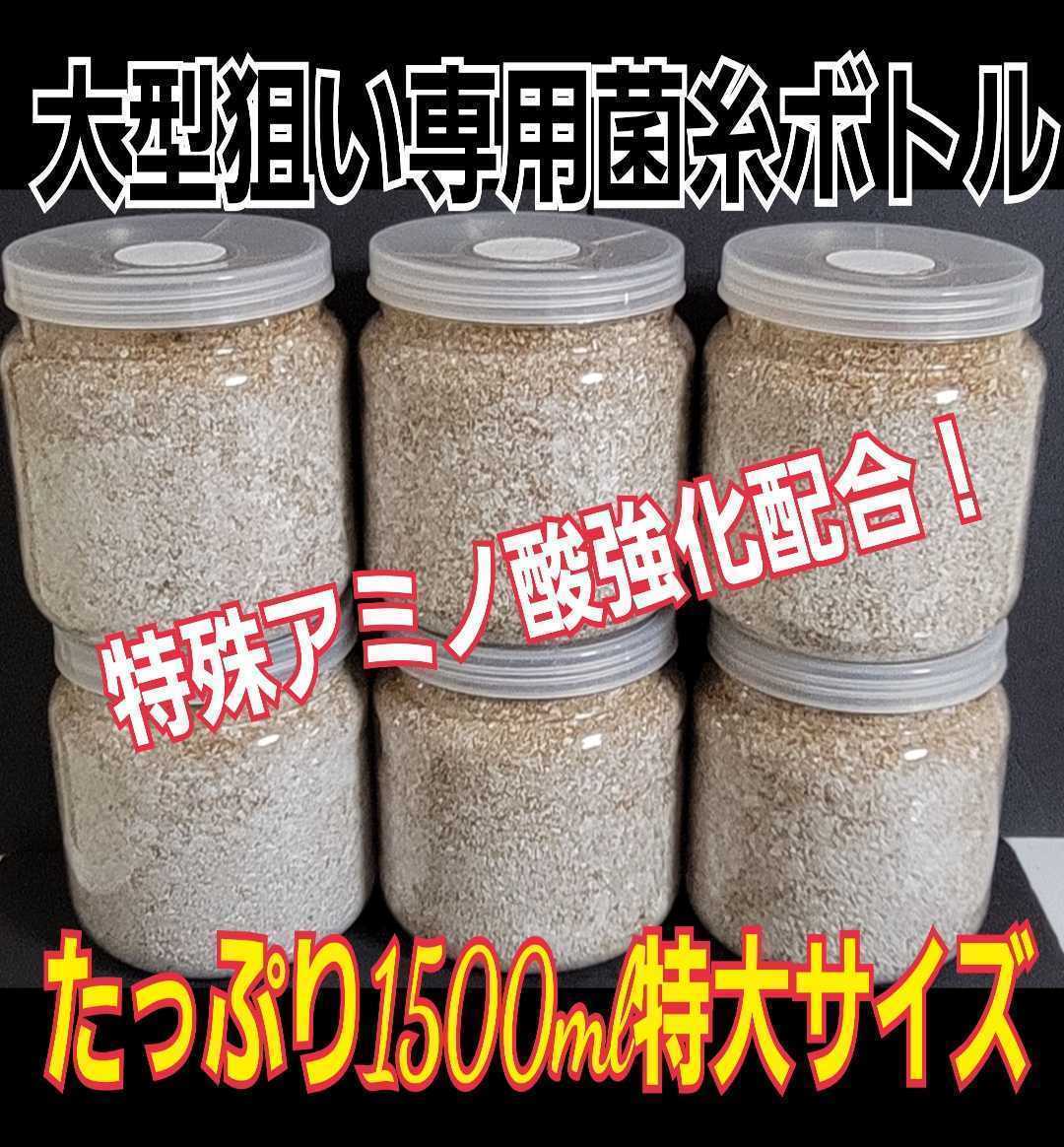 オオクワ、ヒラタ大型狙い！特大サイズ1500ml　極上！ヒマラヤひらたけ菌糸瓶☆初菌のみ使用☆トレハロース・ローヤルゼリー・アミノ酸強化_画像4