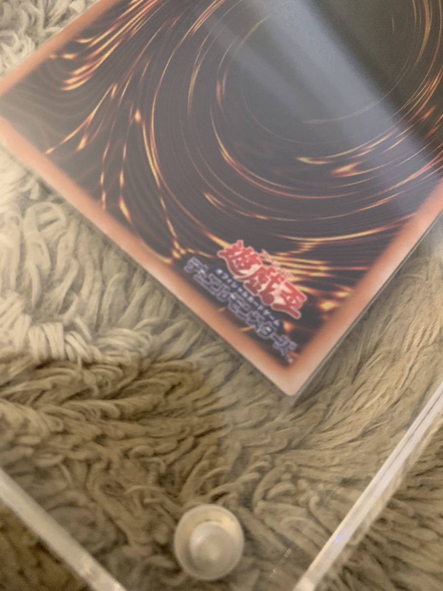 No.804 美品 スタジオダイス版 初期 グレートモス シークレットレア