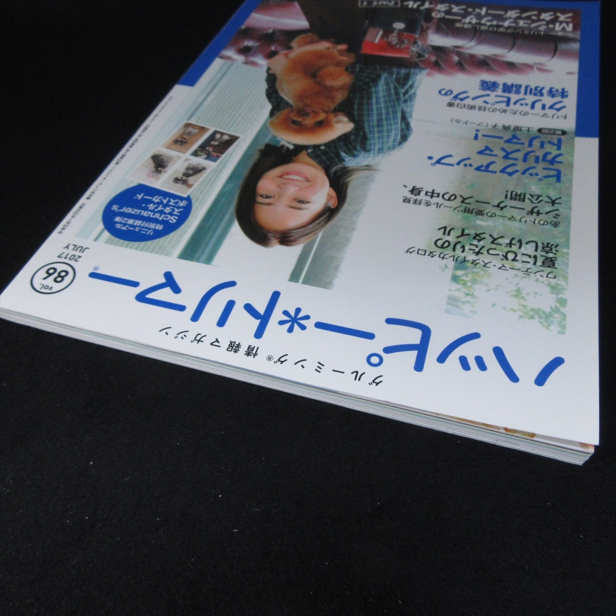 付録ポストカード付 本 『ハッピートリマー vol.86 2017年7月号』 ■送120円 /土屋典子 プードル/クリッピング 畠山桃子/シュナウザー○_画像9