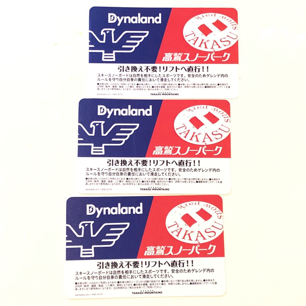 高鷲スノーパーク&ダイナランド 共通リフト券 3枚セット-
