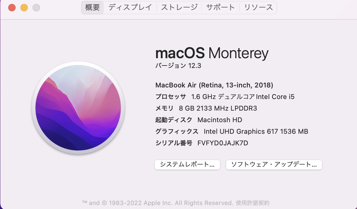 ジャンクApple Macbook Air 2018/ core i5 1.6ghz / 8gb / 251gb / 13インチ シルバー _画像8