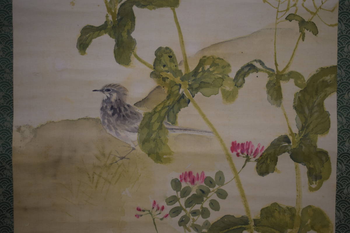 [ genuine work ]// wistaria . Matsuyama /.../.. flower / small . map /. also box attaching / cloth sack shop hanging scroll HJ-48