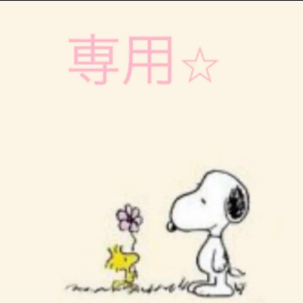 AKIKO.K様 専用 返品交換可能 akikoさま専用☆ その他