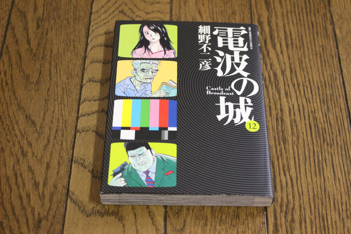 電波の城　第12巻　細野不二彦　初版　ビッグコミックス・スピリッツ　小学館　Y958_画像1