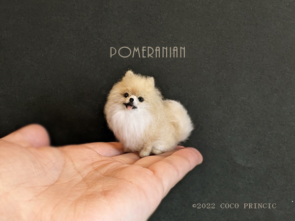 好きに ミニチュア羊毛フェルト【4.8cmのポメラニアン・クリーム】ハンドメイド ミディブライスの愛犬に 1/8ドールハウスサイズ - 羊毛フェルト - www.comisariatolosandes.com 好きに ミニチュア羊毛フェルト【4.8cmのポメラニアン・クリーム】ハンドメイド ミディブライスの愛犬に 1/8ドールハウスサイズ - 羊毛フェルト - www.comisariatolosandes.com