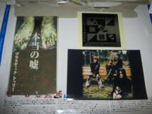 PLASTIC TREE пластик tu Lee / по правде. ложь CDS+ life photograph + стикер иметь . дракон Taro 