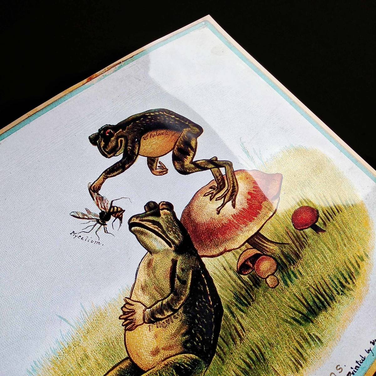 ヤフオク カエルのいたずら ビンテージイラスト 光沢 ポス ヤフオク カエルのいたずら ビンテージイラスト 光沢 ポス