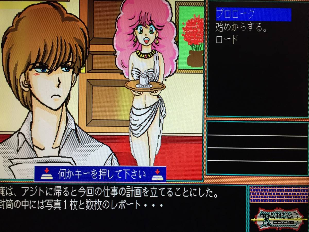 アリスソフト　ランス　光をもとめて　Rance　PC-9801版（5インチFD4枚、カタログ、説明書。起動確認済）　送料込み_画像10