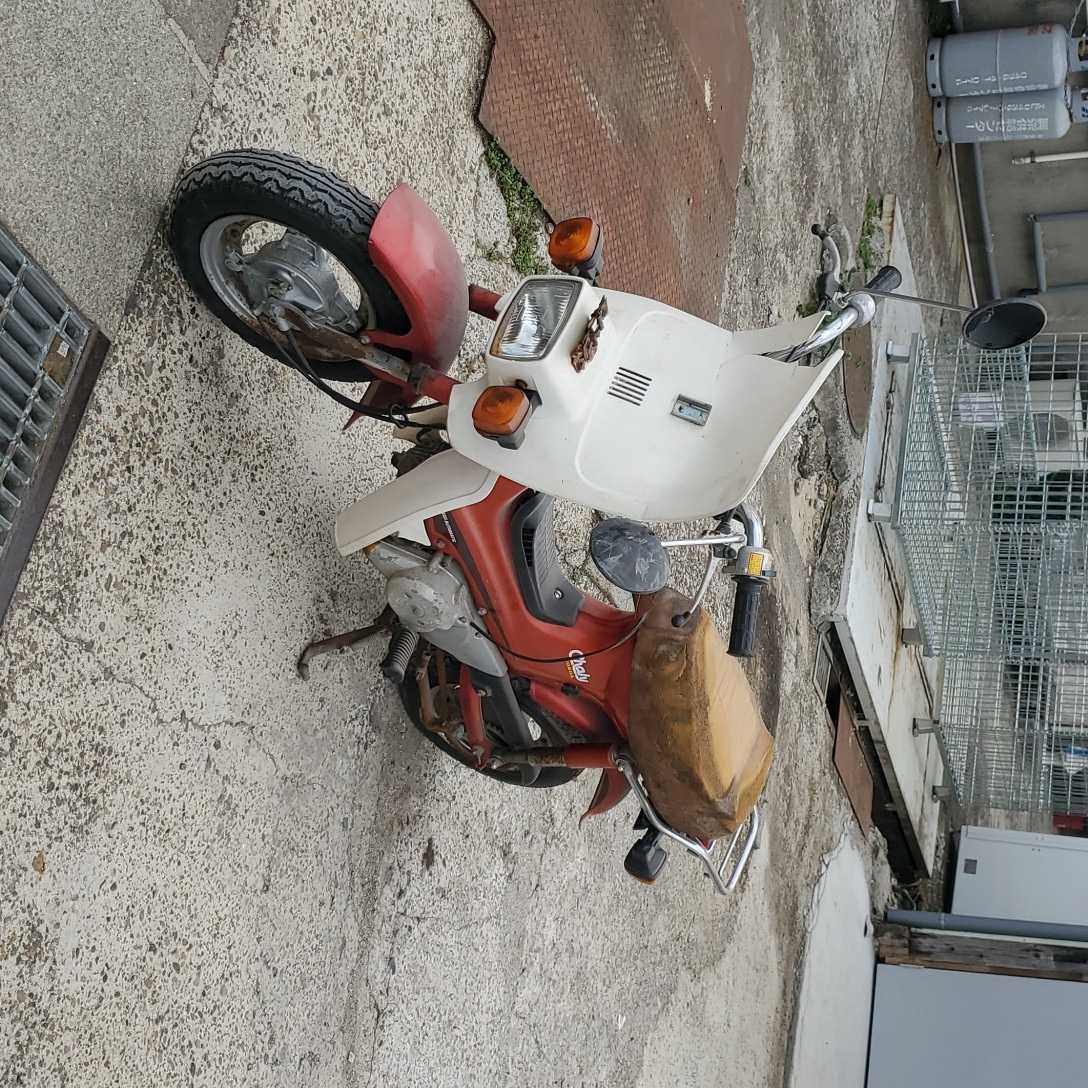 超希少! ホンダ 角目 シャリー 50 6V チューニングベースに! lram