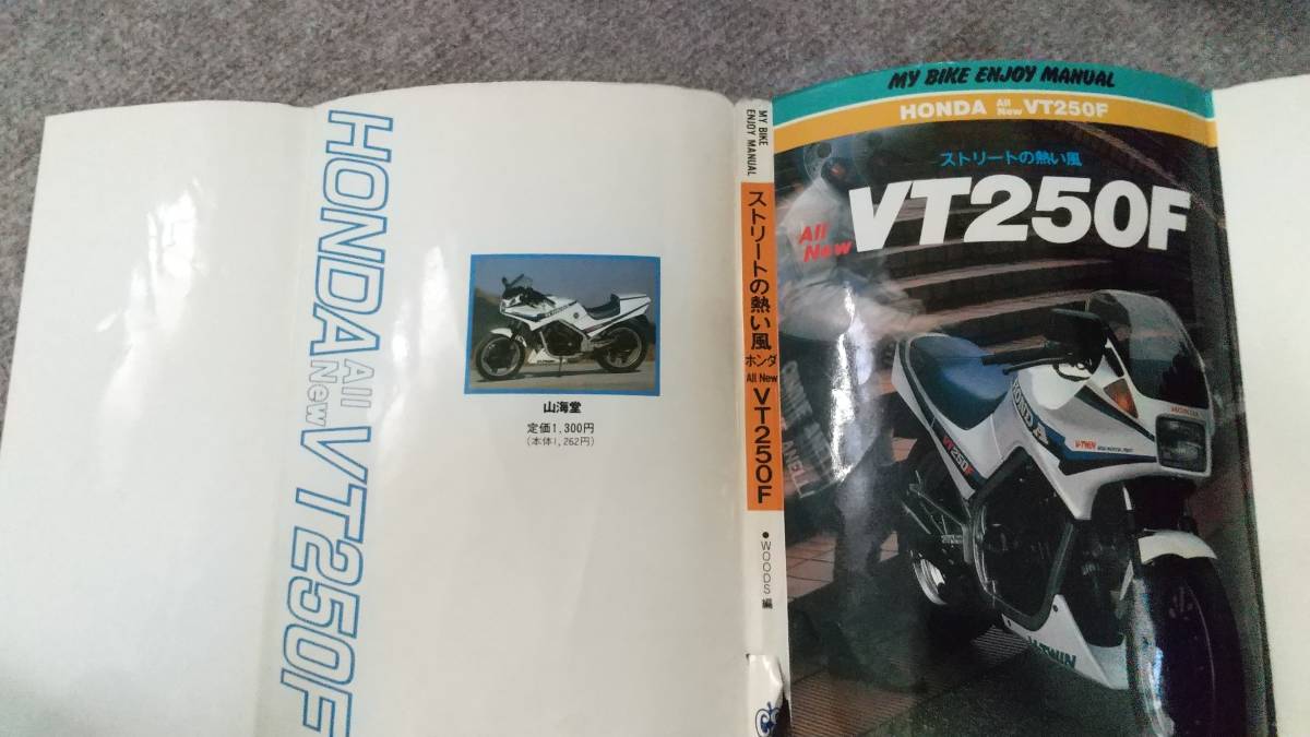 ストリートの熱い風　VT２５０F_画像1