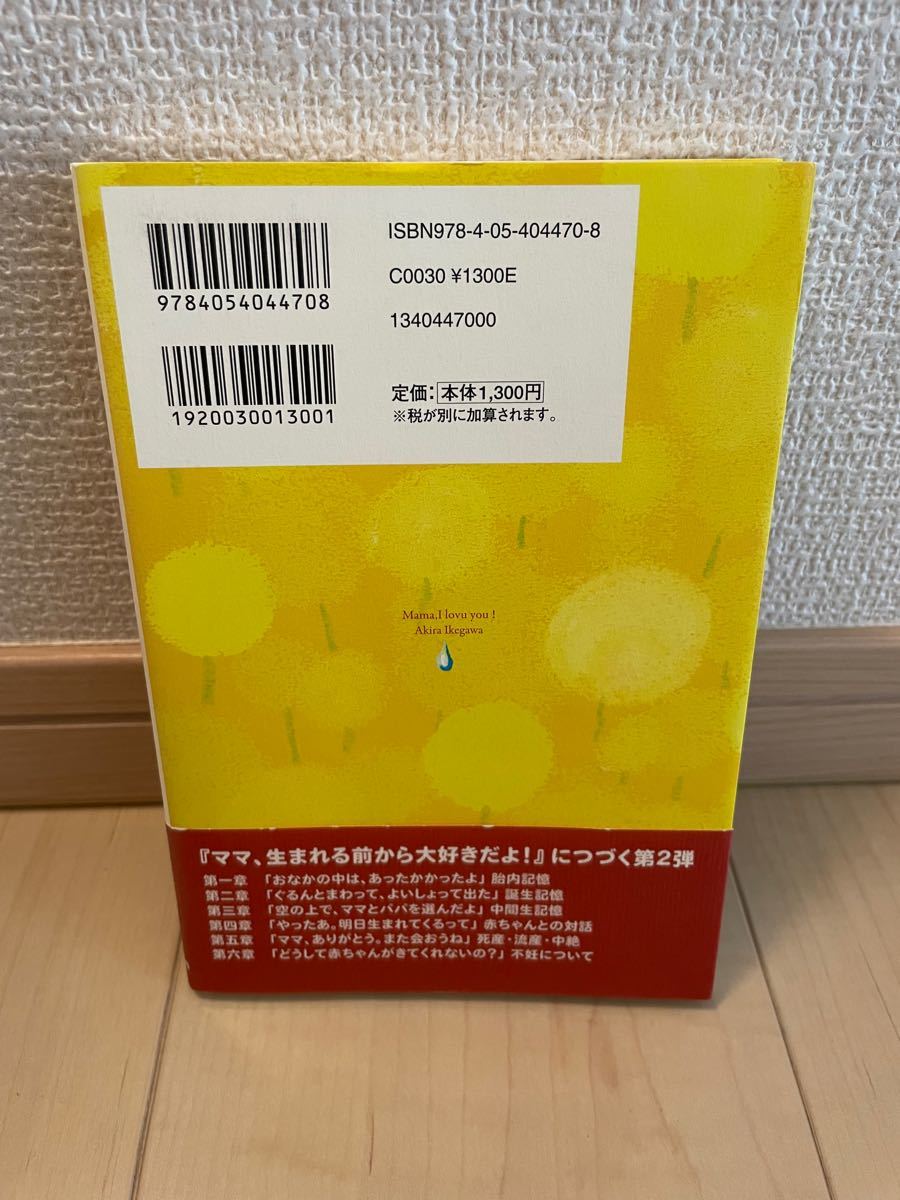 ママを守るために生まれてきたよ！　池川明