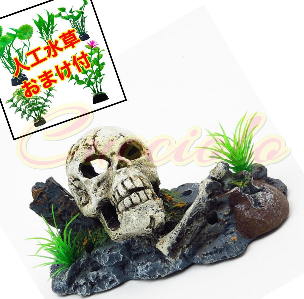 [ extra attaching ].. aquarium gaikotsu skeleton skull aquarium 