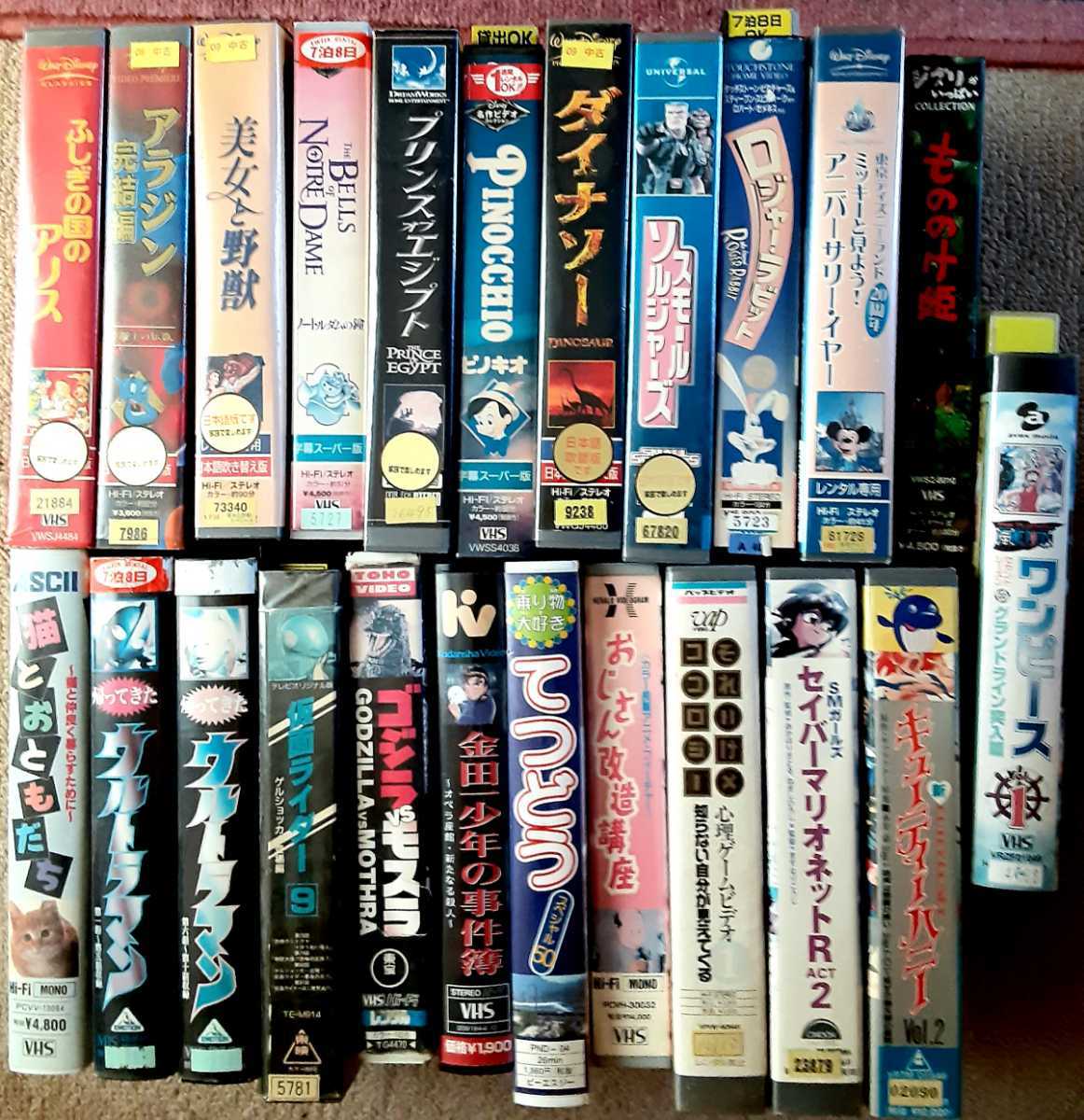 アニメ映画 VHS スワンプリンセス セット ディズニーDVDではご