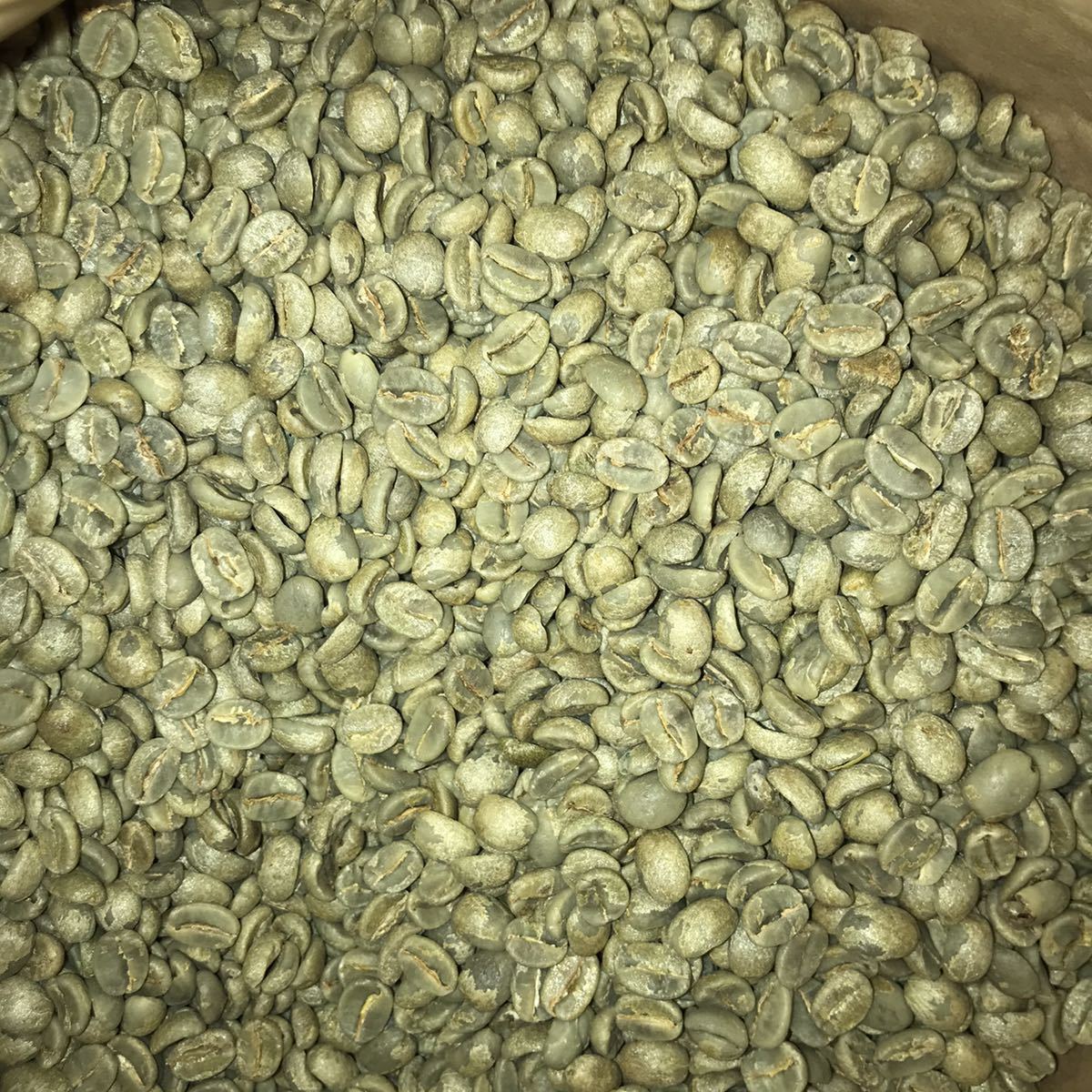 ドリップコーヒー豆　ブラジル15袋