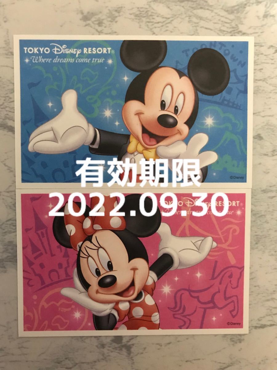 東京ディズニーリゾート ペアチケット(¥15,500) 東京ディズニーリゾート ペアチケット(¥15,500)
