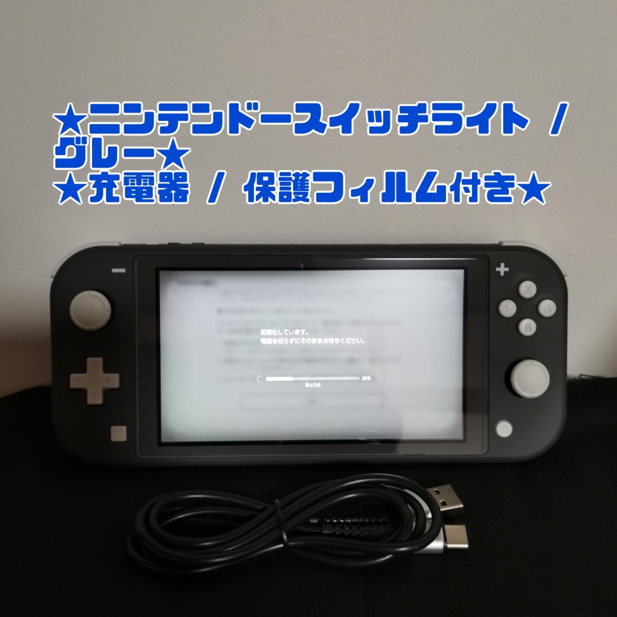 SALEセール】 ニンテンドースイッチライト Nintendo Switch Light 