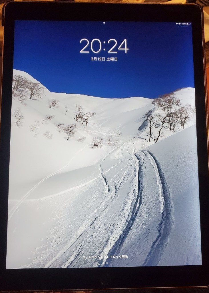 iPad Pro 12.9インチ 128GB Wi-Fi+Cellularモデル　第1世代