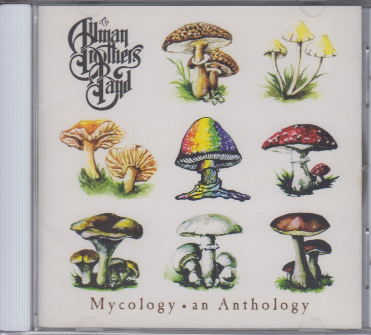 オールマン・ブラザース・バンド Allman Brothers Band 　/ マイコロジー　★中古盤 /210119_画像1