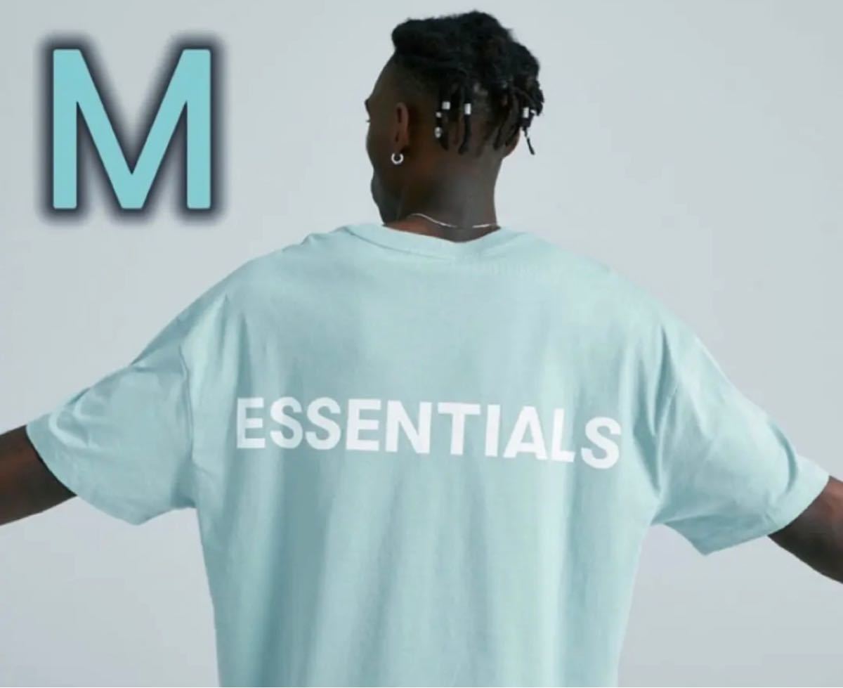 新品】FOG Essentials エッセンシャルズ tシャツ ブルー M www.lram-fgr.ma