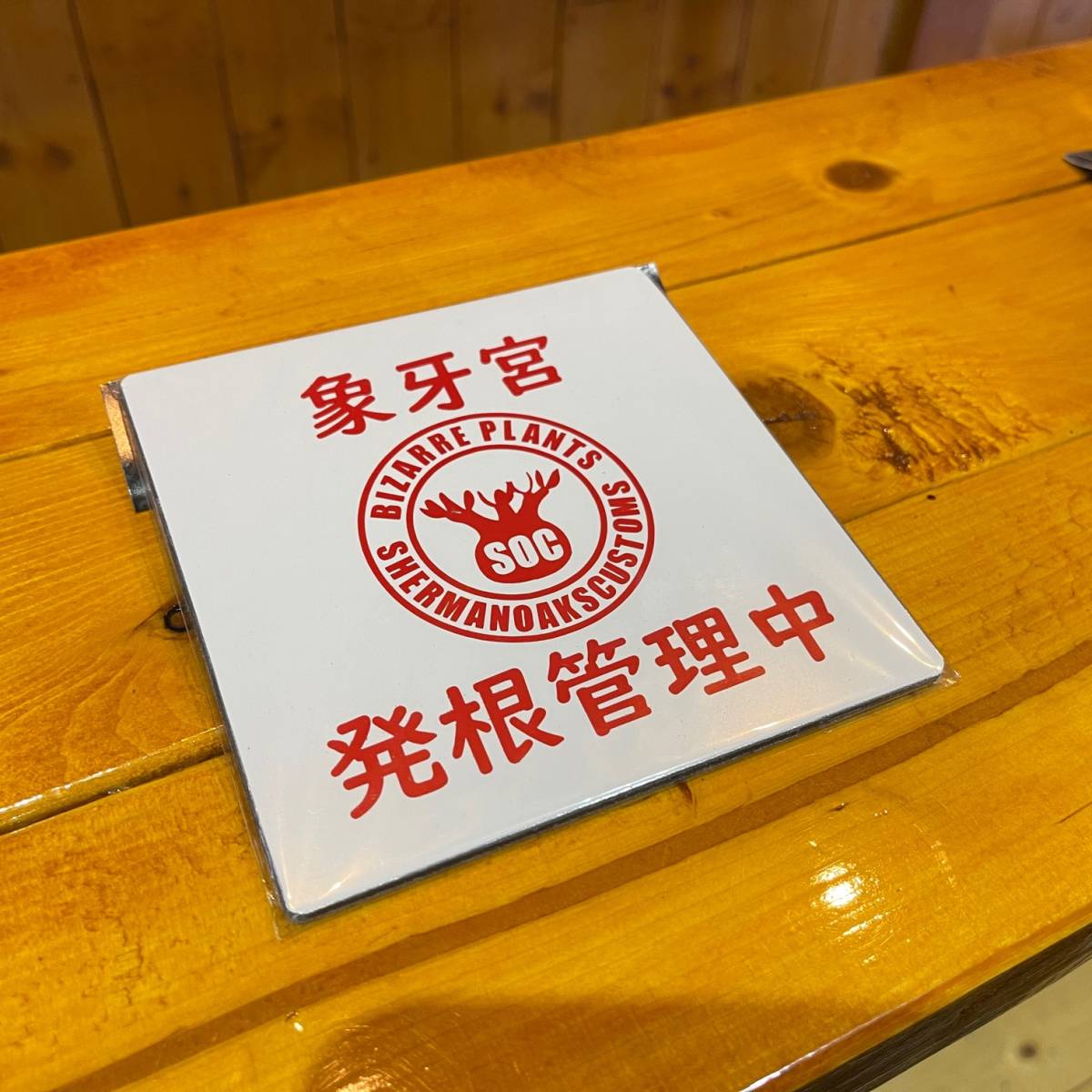 人気ショップが最安値挑戦 ハムニ様專用 3broadwaybistro.com