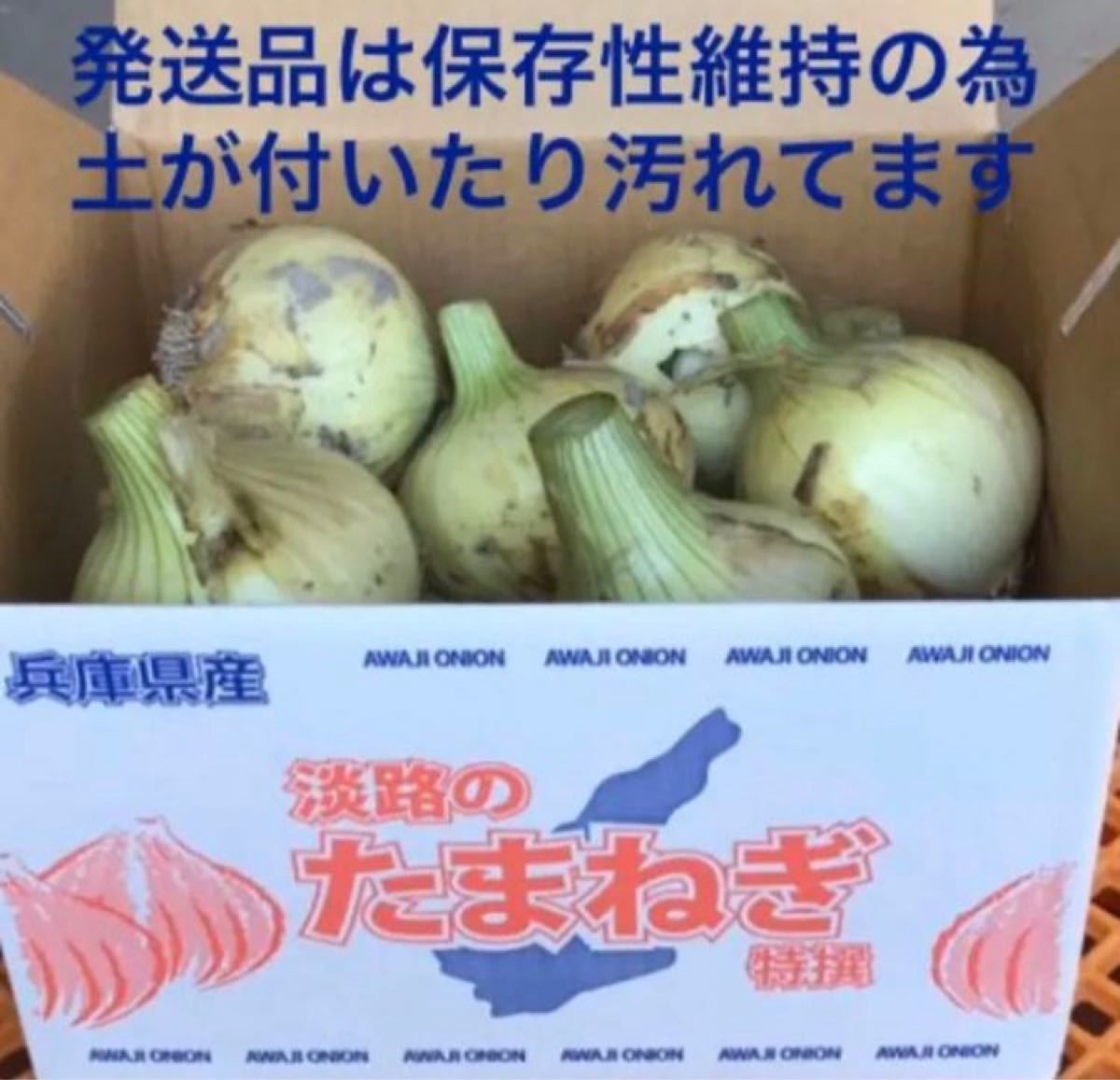 送料無料キャンペーン 淡路島南あわじ産新玉ねぎターザンkg送料込み M L Ll 混合 Caraubas Rn Gov Br 送料無料キャンペーン 淡路島南あわじ産新玉ねぎターザンkg送料込み M L Ll 混合 Caraubas Rn Gov Br