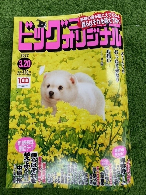 item_image_1